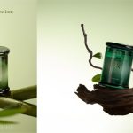 A Brief Escape Collection