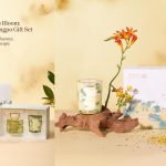 A Realm in Bloom:Song Meets Dongpo Gift Set