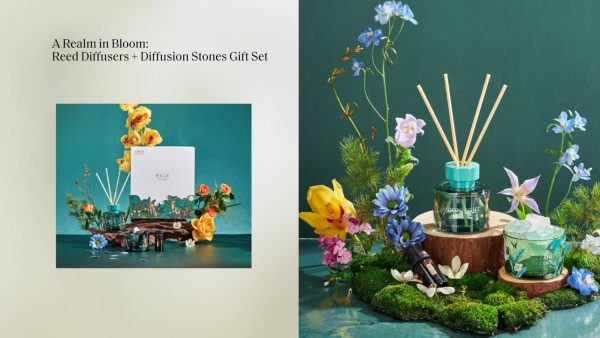 A Realm in Bloom:Reed Diffusers+Diffusion Stones Gift Set