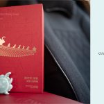 Celadon Dragon's Whisper Car Diffusers