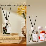 Everything in Nature Collection