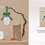 Fragrance Hanging Ornaments-Diatomite Aroma Tags