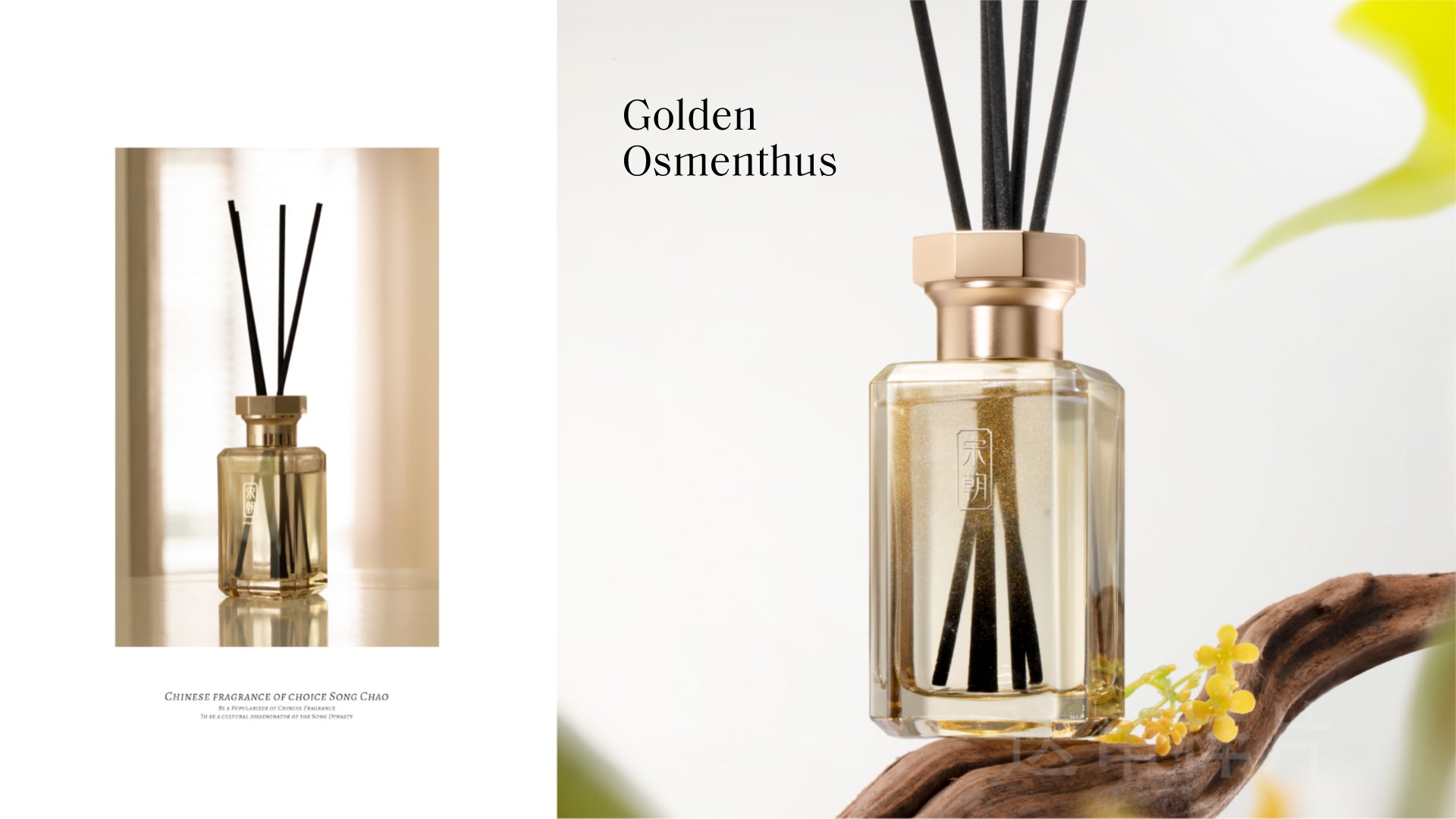 SC-GOLDENEP-060.jpg Golden Osmanthus