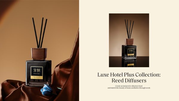 Hotel Plus Collection