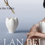 Magnolia in the valley Collection