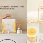 Memories of Jiangnan:Osmanthus Rain Wax Melt Gift Set