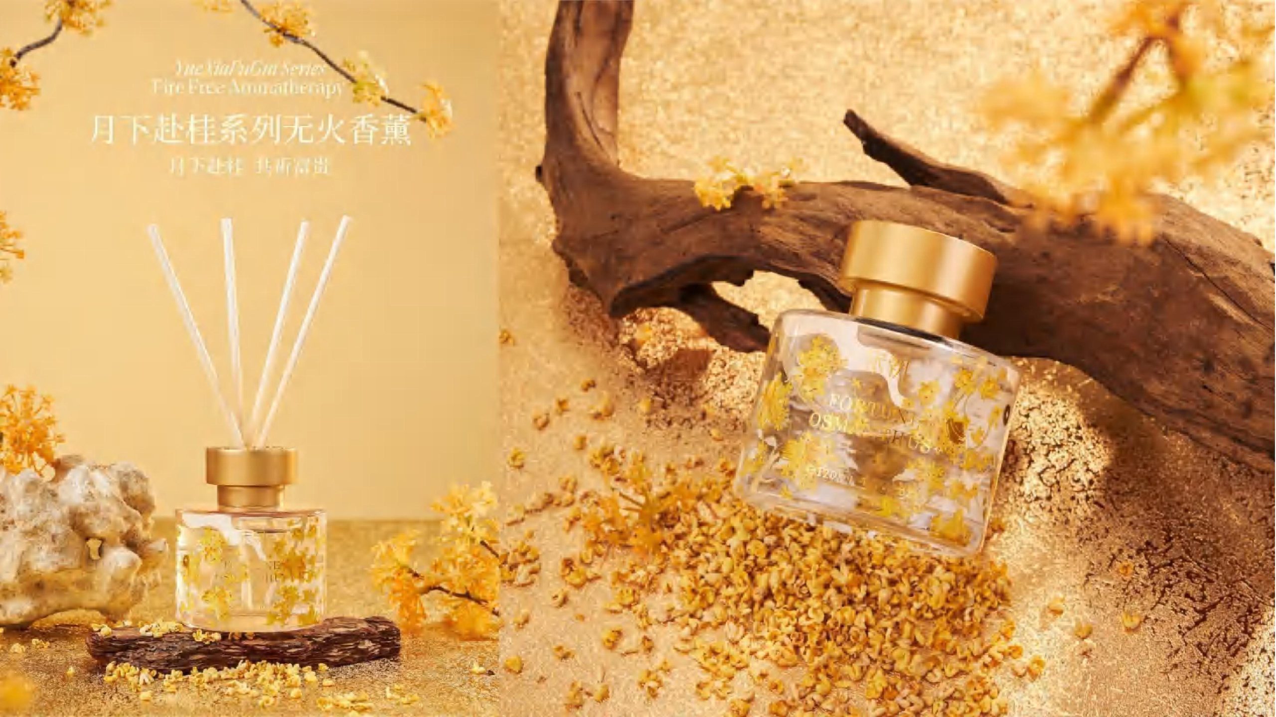 SC-MOONLITO-002.jpg Moonlit Osmanthus Rendevous
