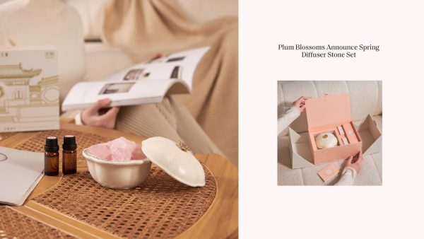 Plum Blossoms Annouce Spring Diffuser Stone Set